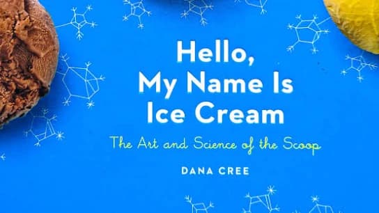 Hello My Name is Ice Cream (Vanilla)